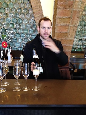 Visita_bloggers_celler_jaume_codorniu_director_comercial